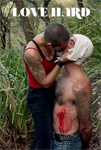 Love Hard